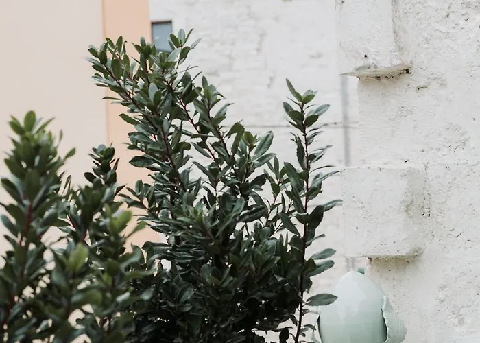 Palazzo Mimi * Битритто